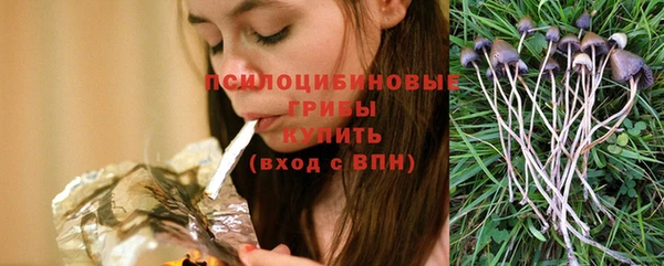 дживик Нея
